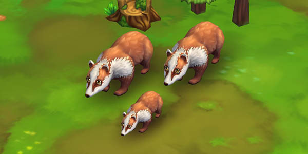 European Badger Red