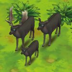 Fallow Deer Black