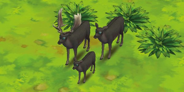 Fallow Deer Black