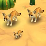 Fennec Fox