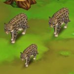 Fishing Cat