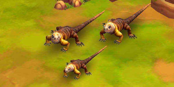 Galápagos Land Iguana