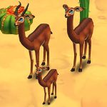 Gerenuk