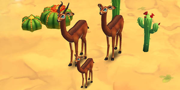 Gerenuk