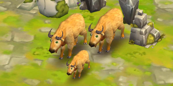 Golden Takin