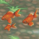 Goldfish