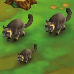 Goodfellow Tree Kangaroo Lumholtz