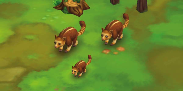 Goodfellow Tree Kangaroo
