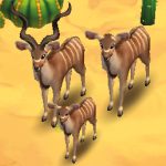 Greater Kudu