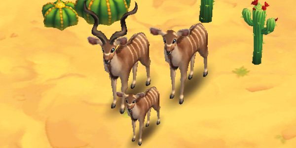 Greater Kudu