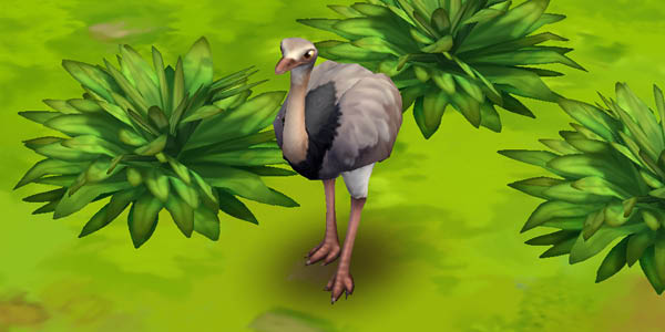 Greater Rhea
