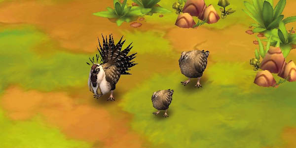 Greater Sage Grouse
