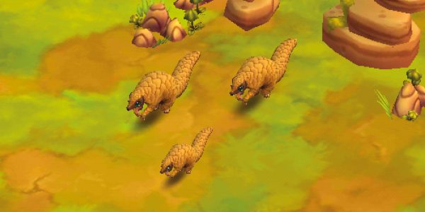 Ground Pangolin