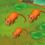Hazel Dormouse