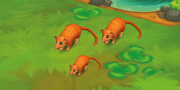 Hazel Dormouse
