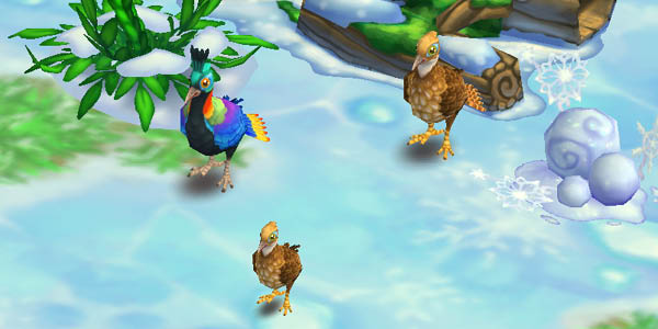 Himalayan Monal