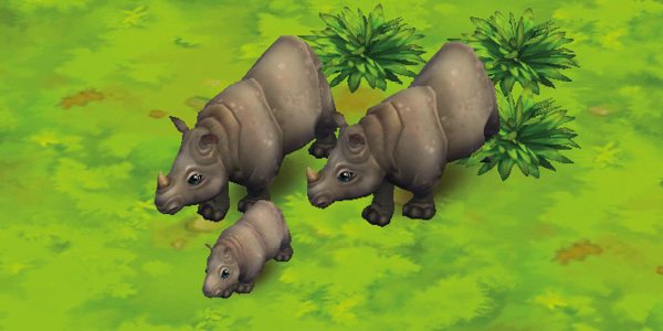 Indian Rhinoceros