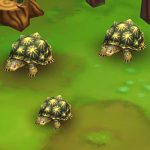 Indian Star Tortoise Green
