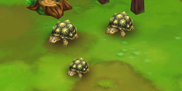 Indian Star Tortoise Green
