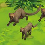 Jaguarundi