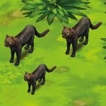 Jaguarundi Black