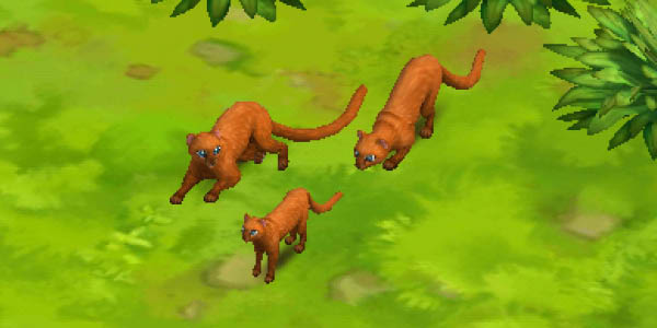 Jaguarundi Red
