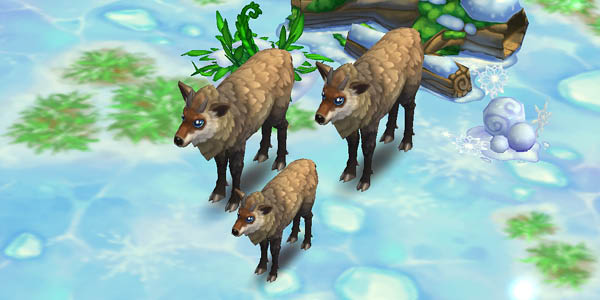 Japanese Serow