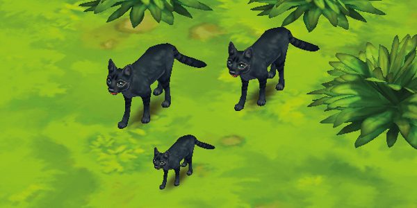 Jungle Cat Black