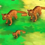 Kinkajou