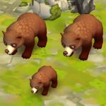 Kodiak Bear
