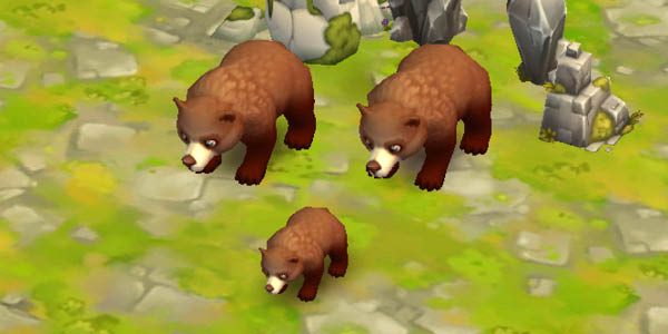 Kodiak Bear