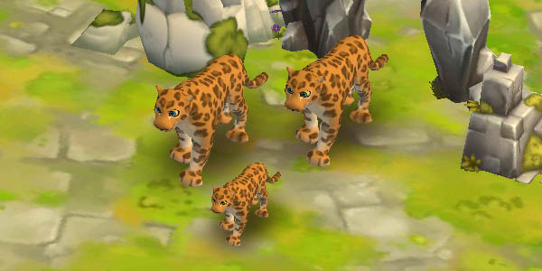 Leopard