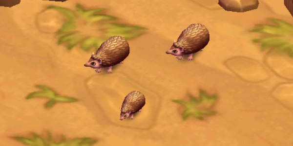 Lesser Hedgehog Tenrec