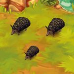 Long-Eared Hedgehog Black