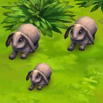 Lop Rabbit (Gray)