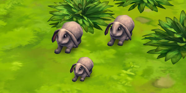 Lop Rabbit (Gray)