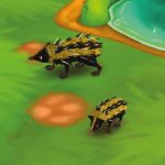 Lowland Streaked Tenrec