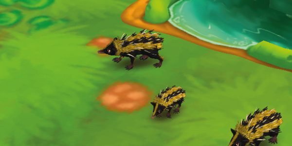 Lowland Streaked Tenrec