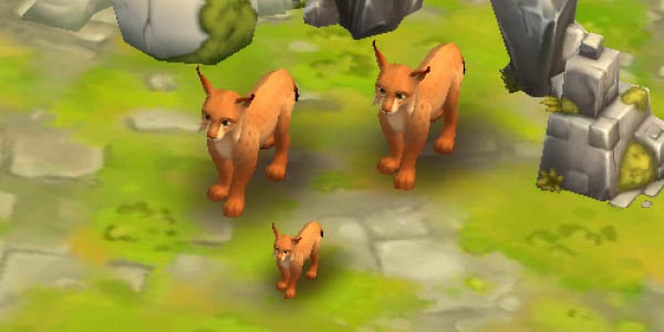 Lynx