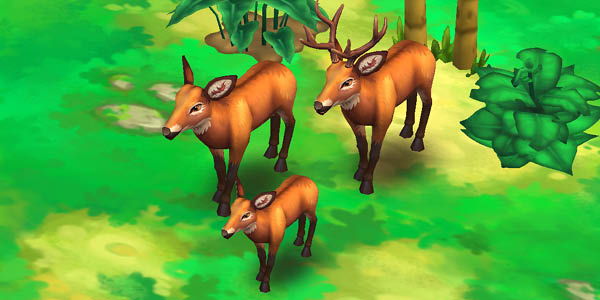 Marsh Deer