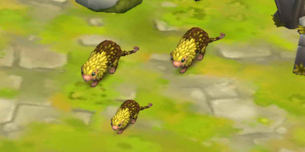 Mexican Tree Porcupine