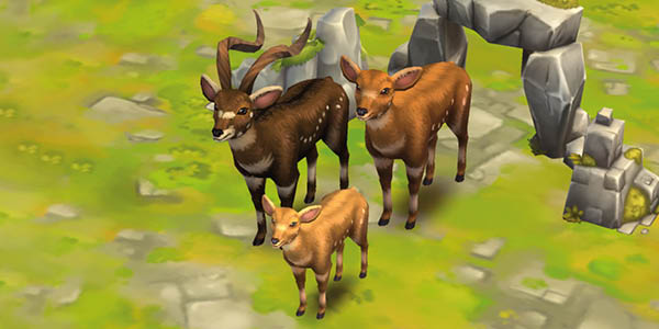 Mountain Nyala
