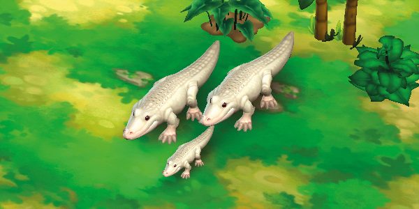 Nile Crocodile White