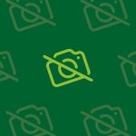 Caquetá Titi Monkey