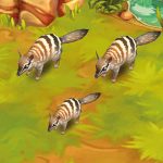 Numbat