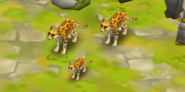 Ocelot