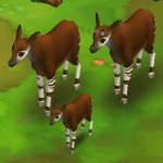Okapi