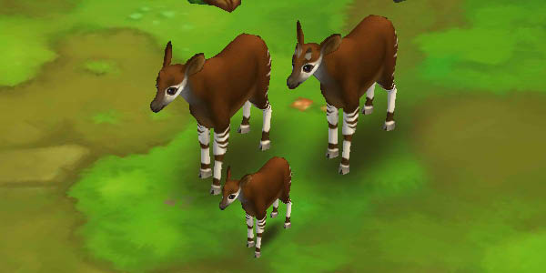 Okapi