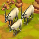 Oryx Arabian