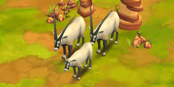 Oryx Arabian